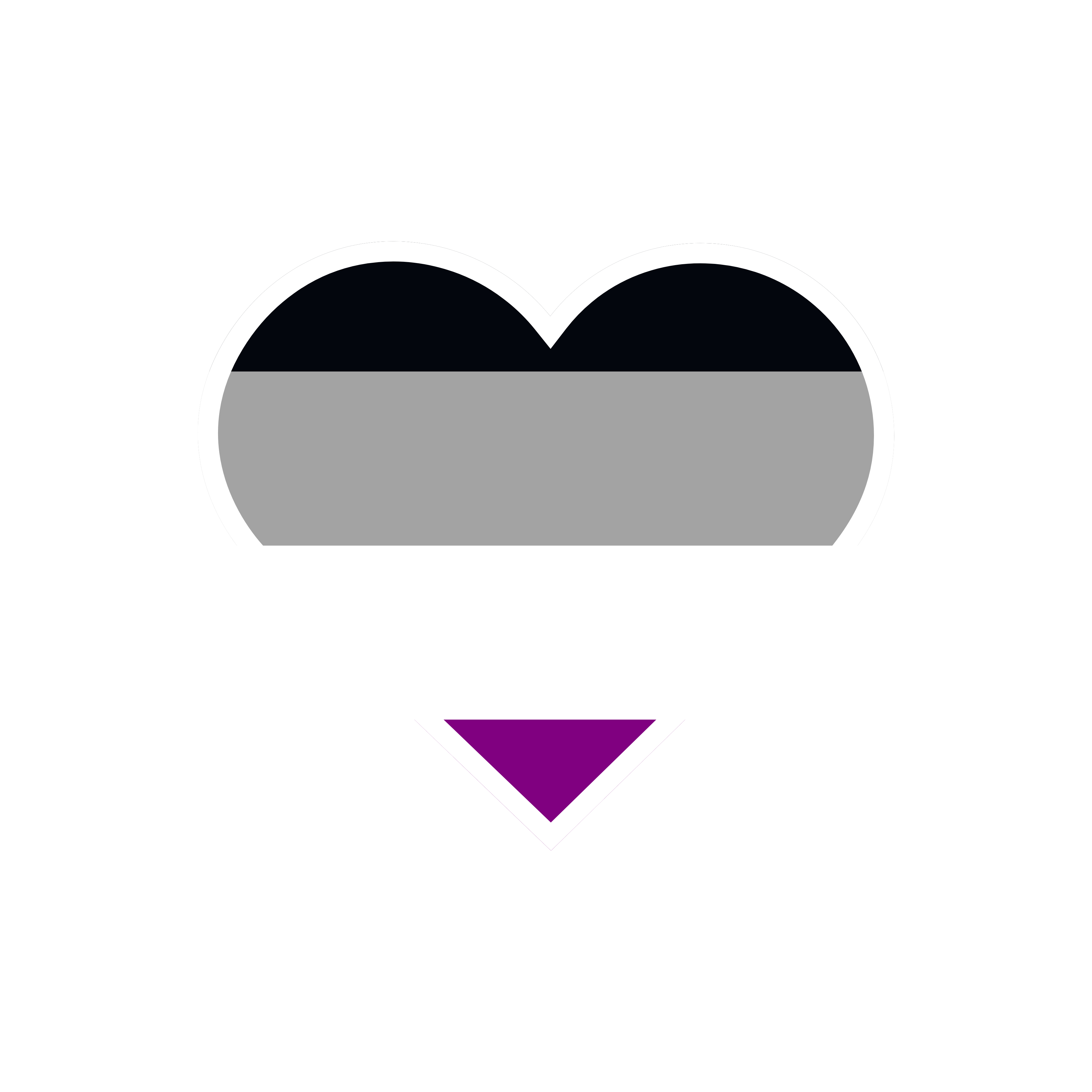 Ace pride flag sticker