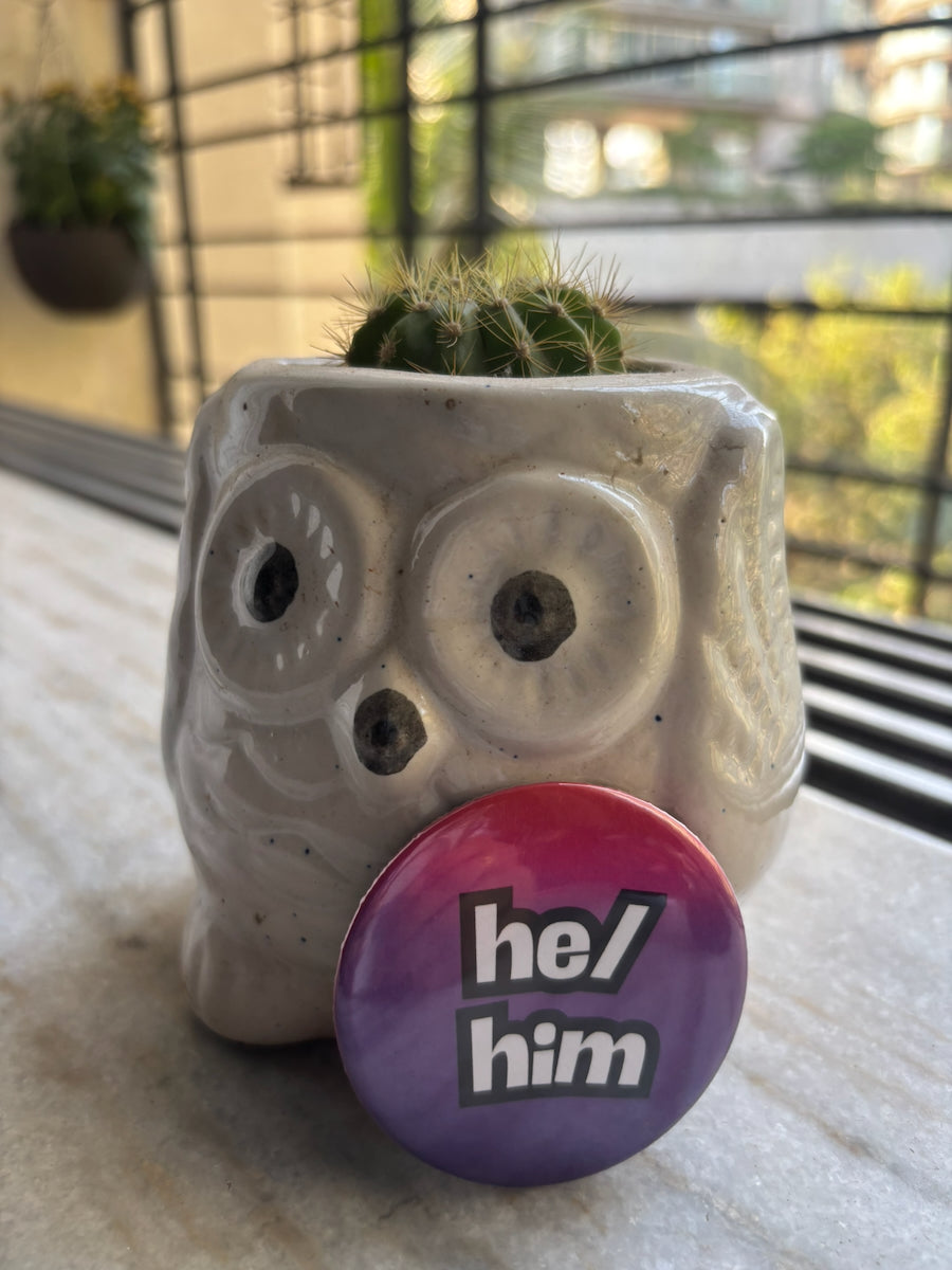 Pride He/him badge pin