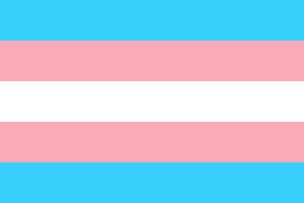 Trans pride flag sticker