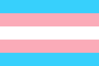 Trans pride flag sticker