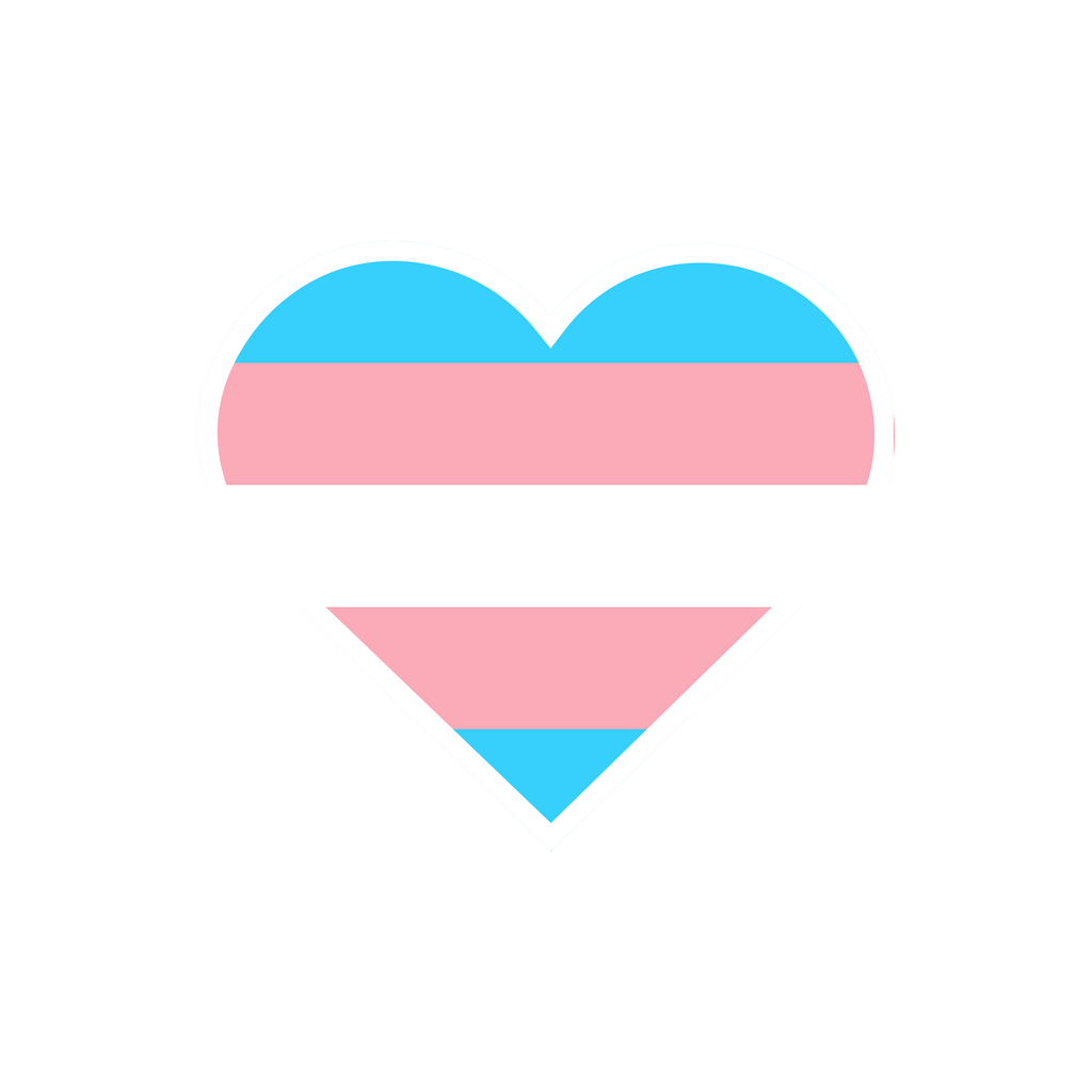 Trans pride flag sticker