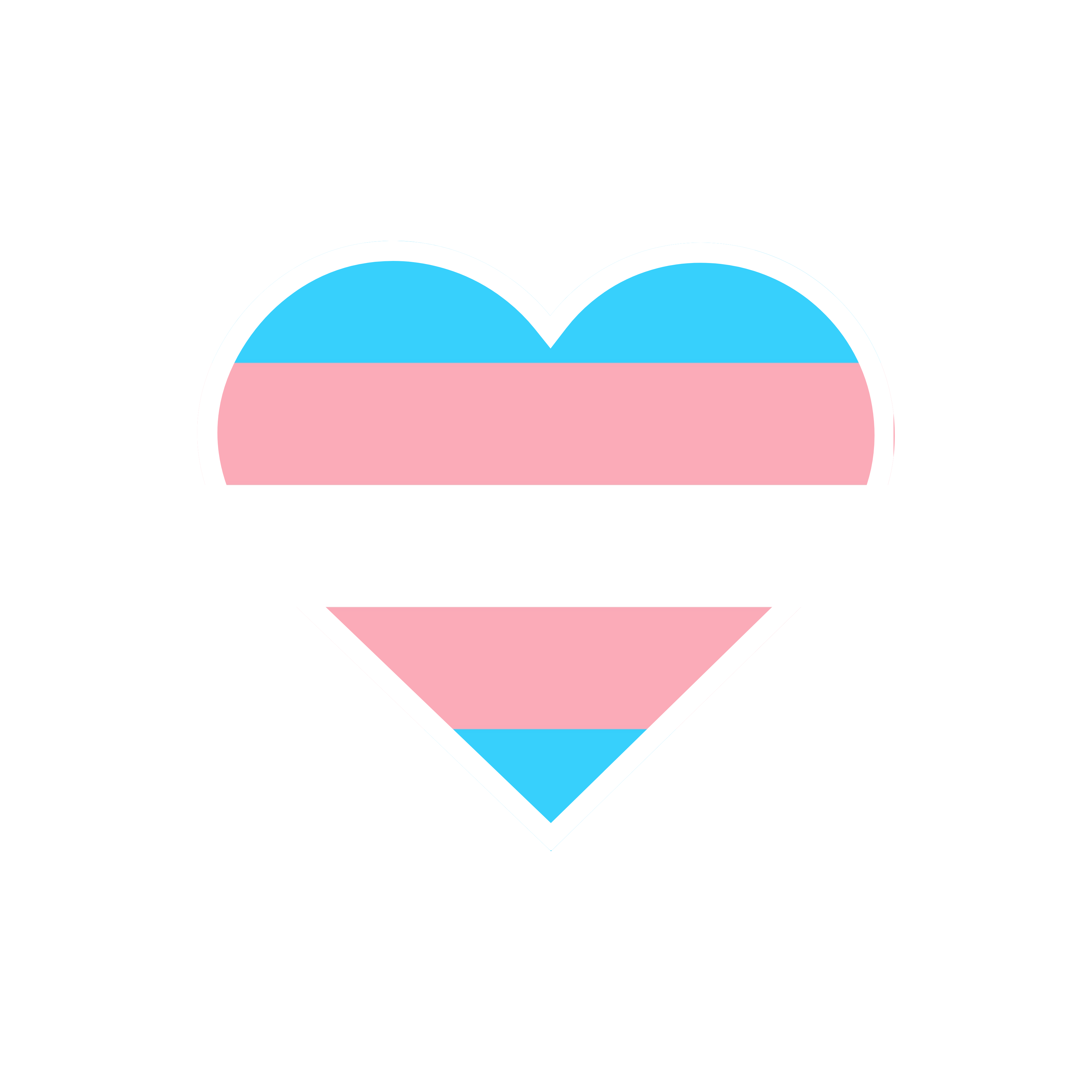 Trans pride flag sticker
